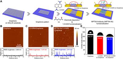 Ultrasensitive biosensing platform for Mycobacterium tuberculosis detection based on functionalized graphene devices